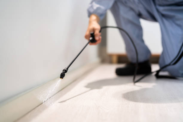 Licensed Pest Control service in Meadow Glade, WA - Show Me Pest Control